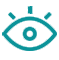 Vision Icon